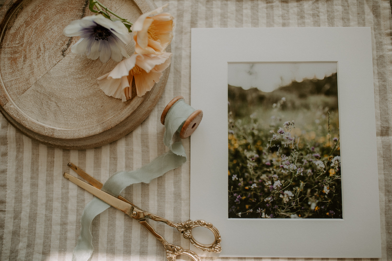alberta branding photographer